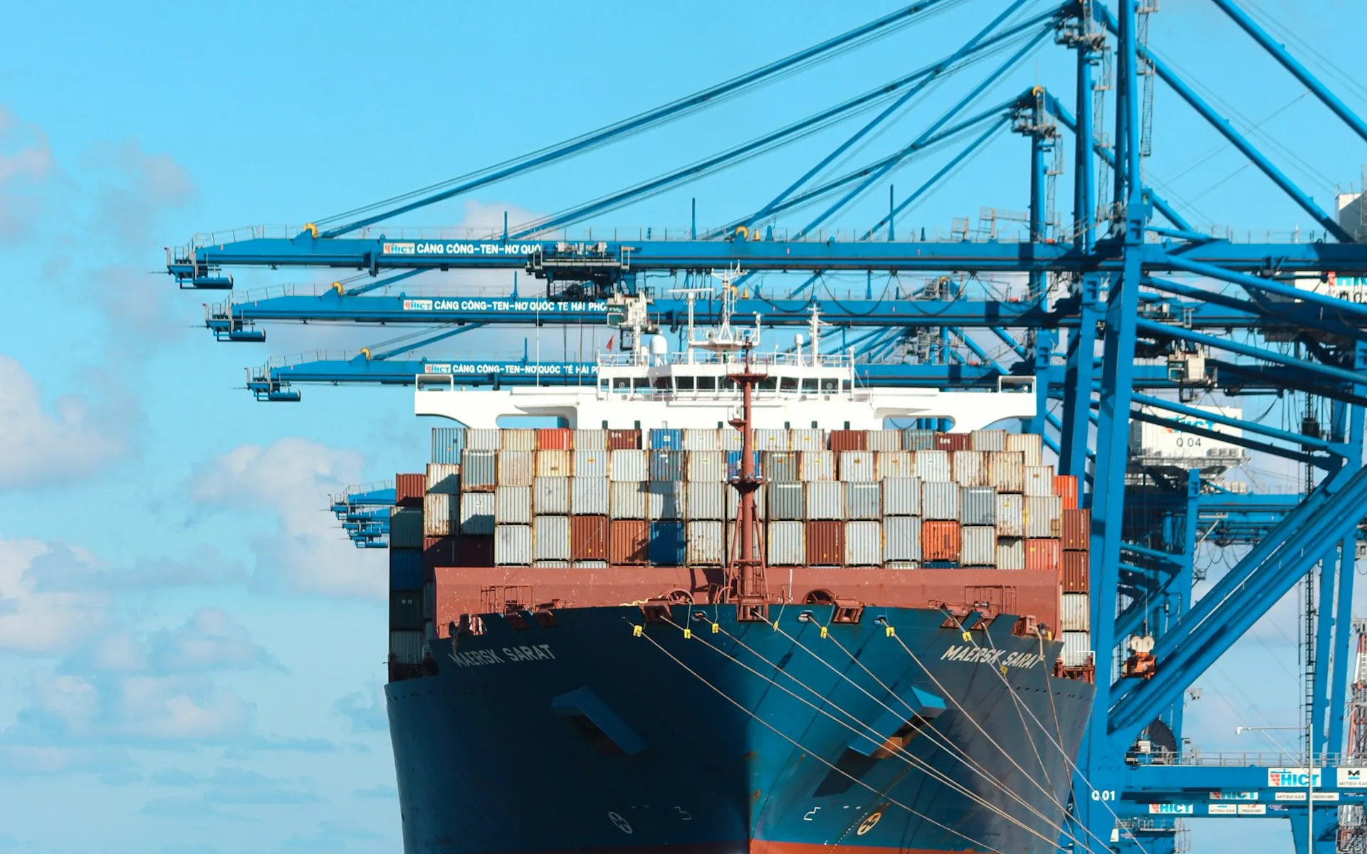 International Timber Trading, Germany-Based Coordination visual